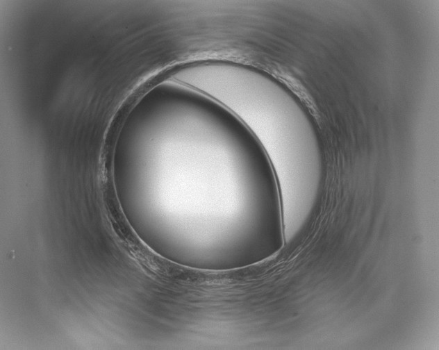 X0000073890628200608110910