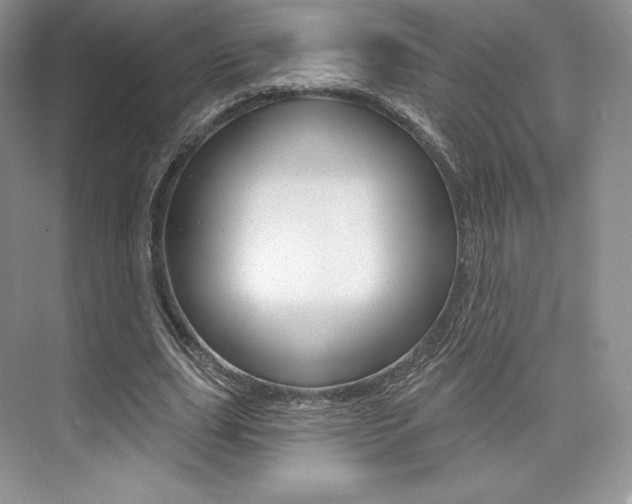 X0000073890631200608110910