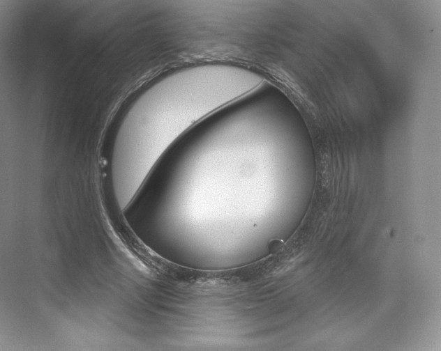 X0000073890634200608110910