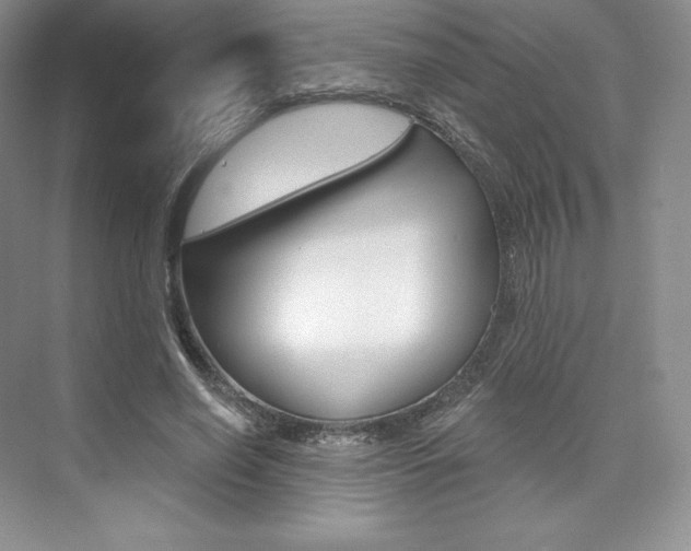 X0000073890638200608110911