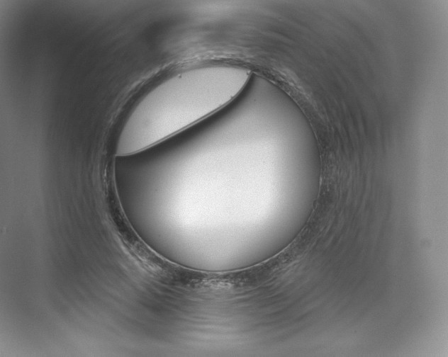 X0000073890640200608110911