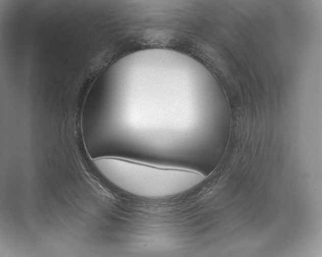 X0000073890641200608110911