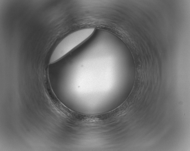 X0000073890642200608110911