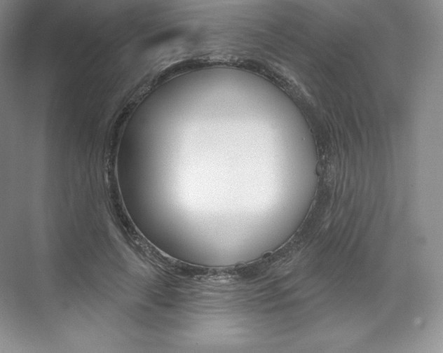 X0000073890643200608110911