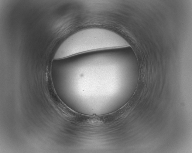 X0000073890644200608110911