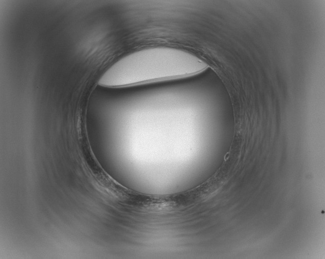 X0000073890646200608110911