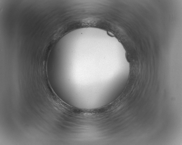 X0000073890649200608110911