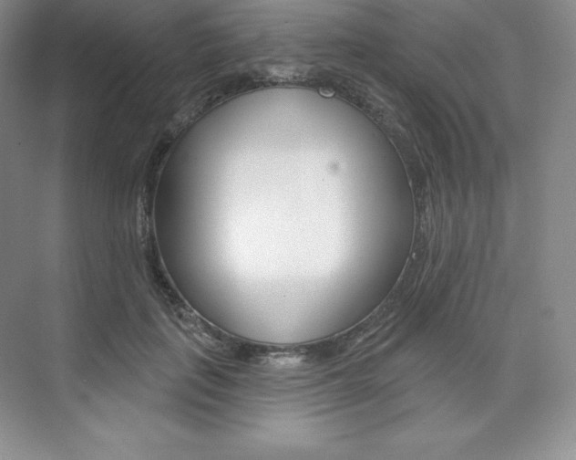X0000073890651200608110911