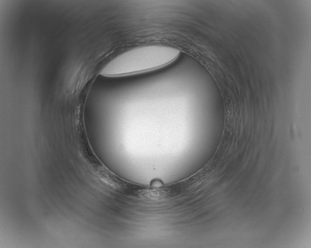 X0000073890652200608110911