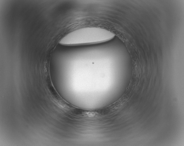 X0000073890654200608110911