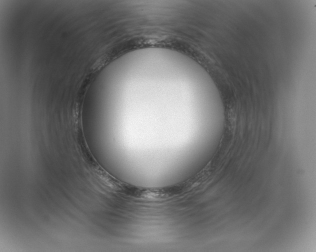 X0000073890657200608110911