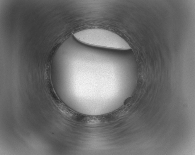 X0000073890658200608110911