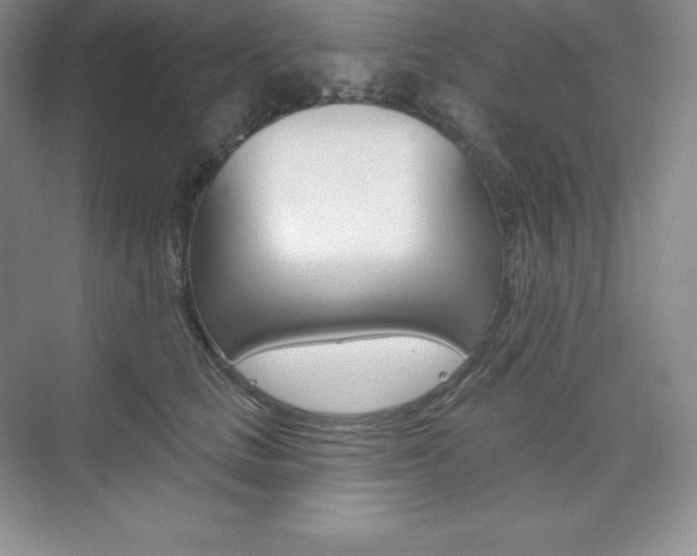 X0000073890661200608110911