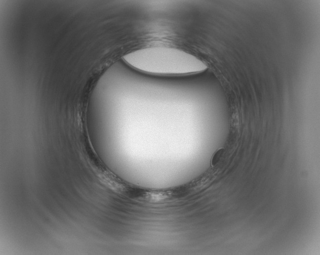 X0000073890662200608110911