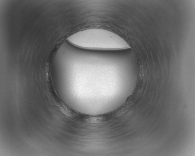 X0000073890664200608110911