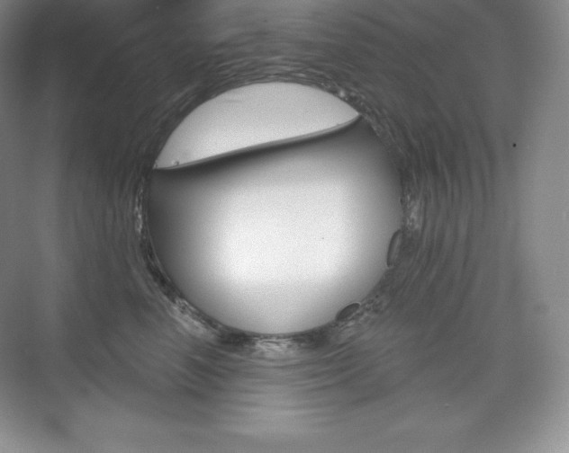 X0000073890666200608110911