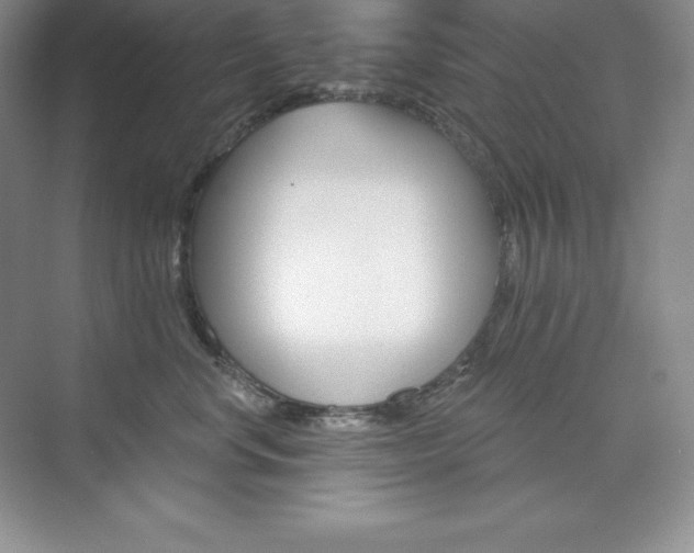 X0000073890668200608110911