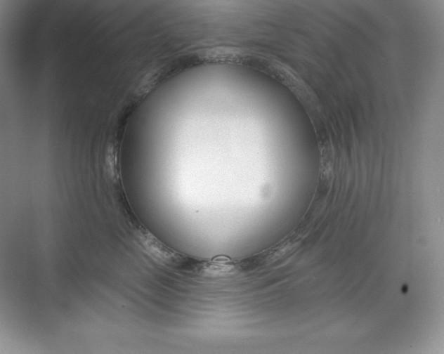 X0000073890669200608110911