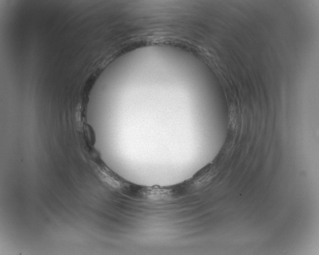 X0000073890670200608110911