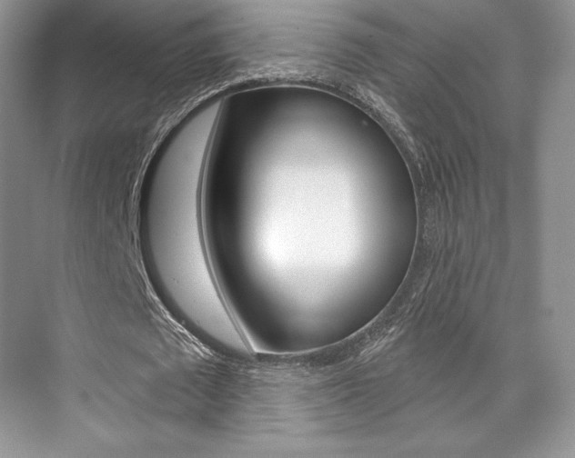 X0000073890673200608110910
