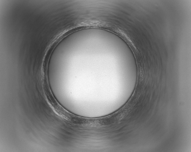 X0000073890674200608110910