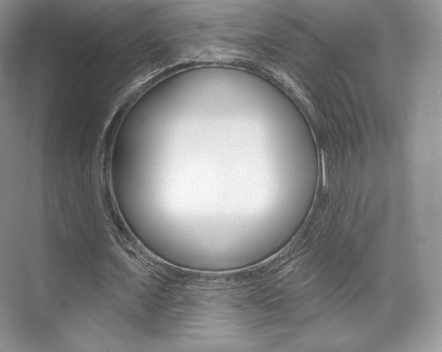 X0000073890675200608110910