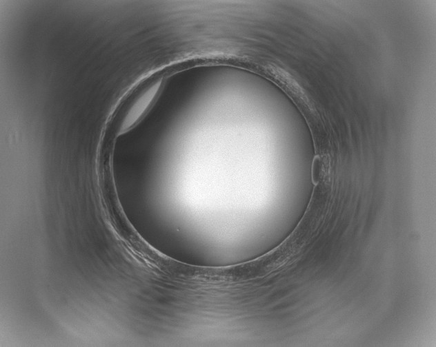 X0000073890676200608110910