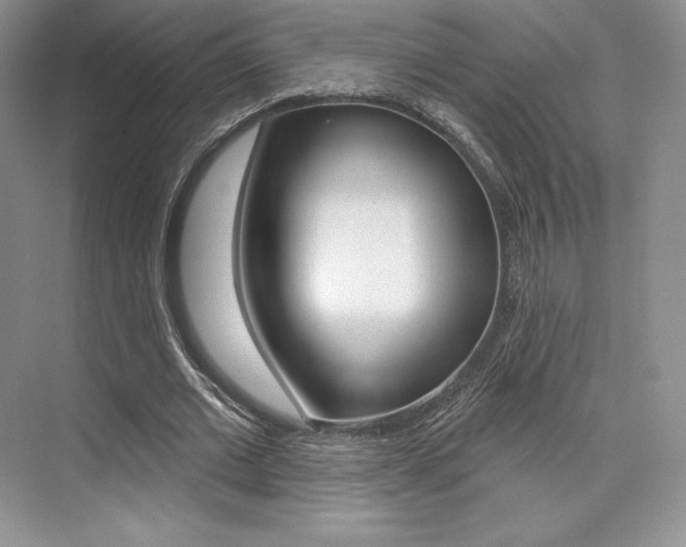 X0000073890677200608110910