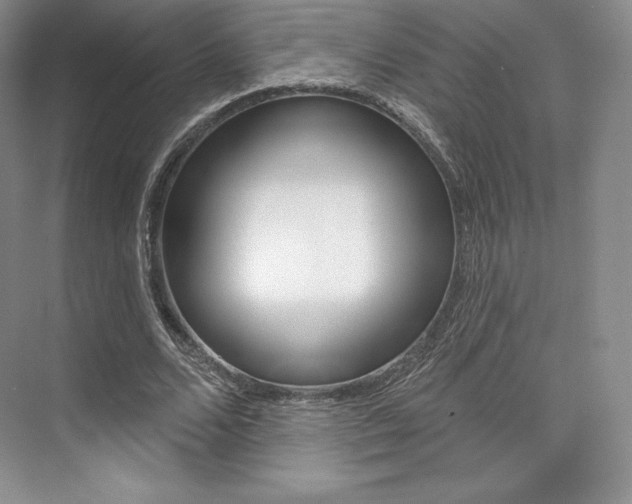X0000073890680200608110910
