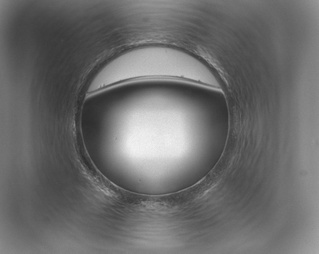X0000073890681200608110910