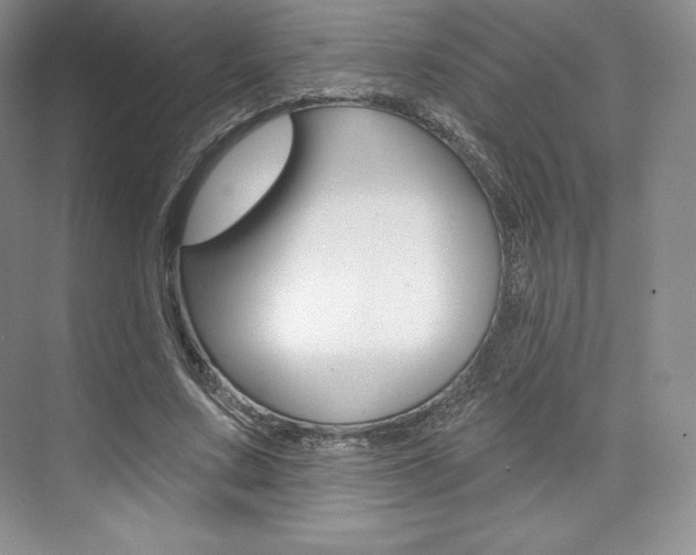 X0000073890683200608110910