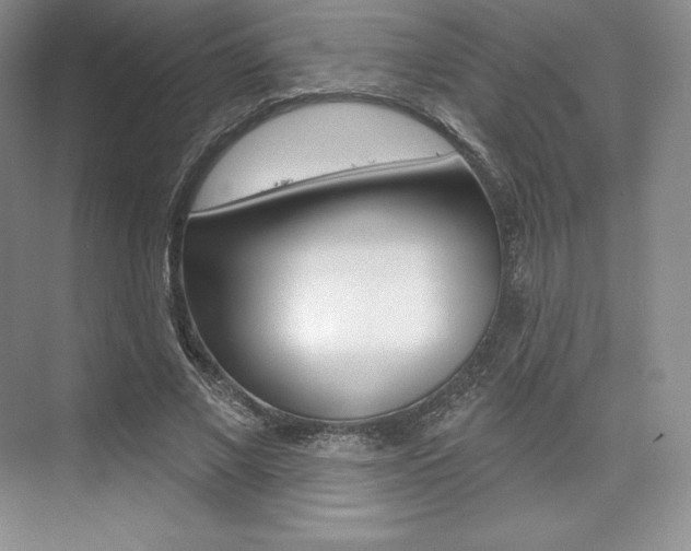 X0000073890685200608110910