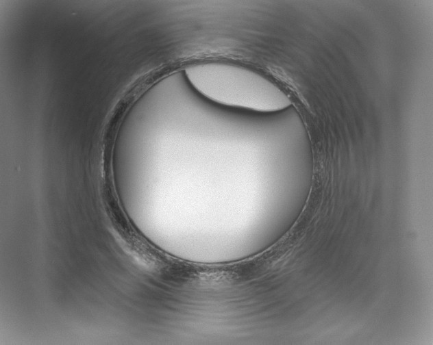 X0000073890686200608110910