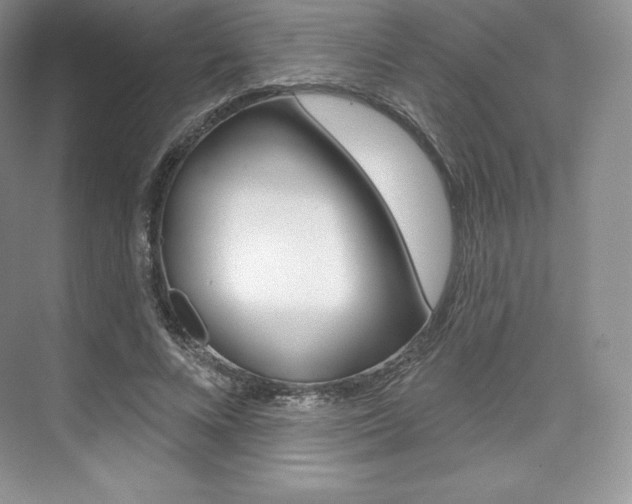 X0000073890688200608110910