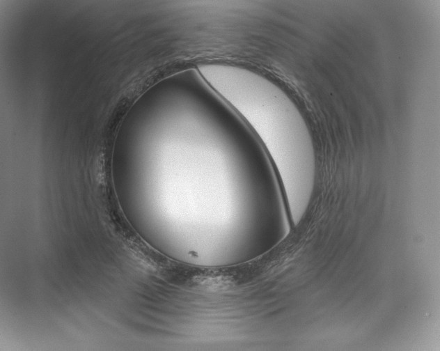 X0000073890689200608110910