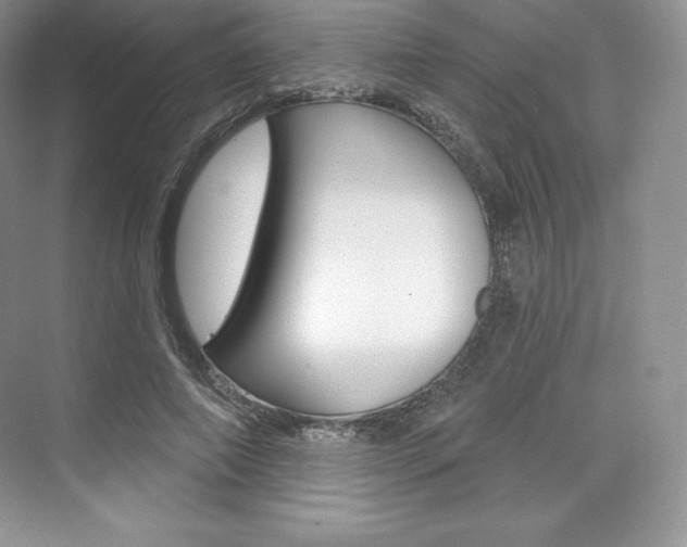 X0000073890690200608110910