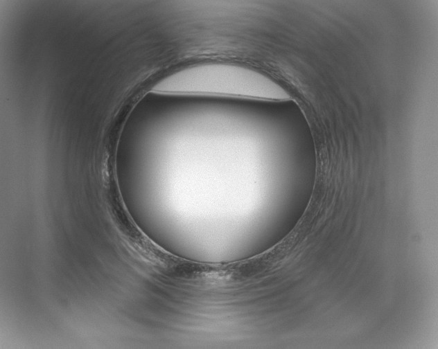 X0000073890692200608110910
