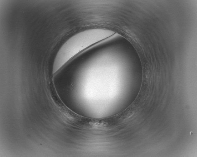 X0000073890693200608110910