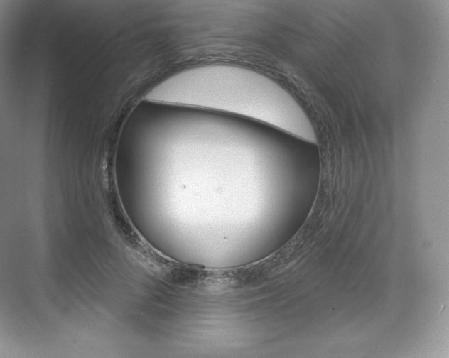X0000073890696200608110910