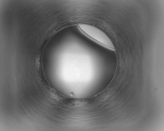 X0000073890697200608110910