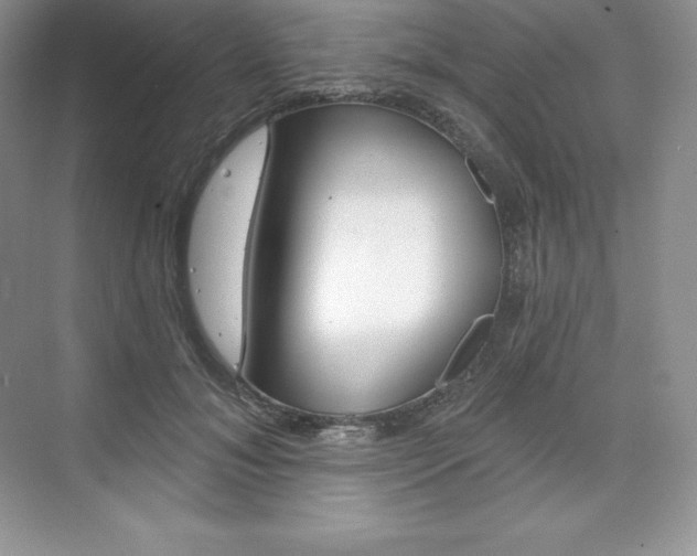 X0000073890700200608110910