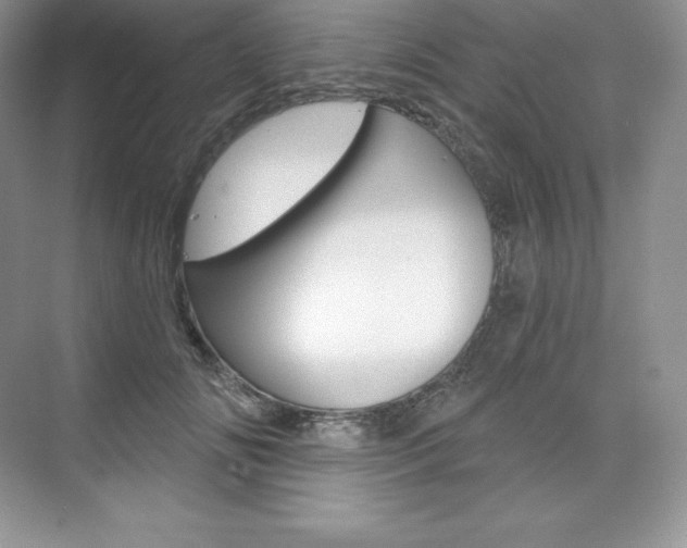 X0000073890702200608110910