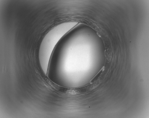 X0000073890704200608110910