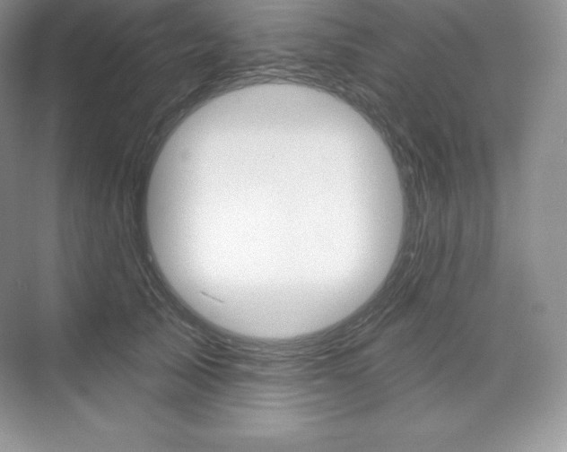 X0000073890705200608110910