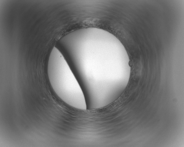 X0000073890706200608110910