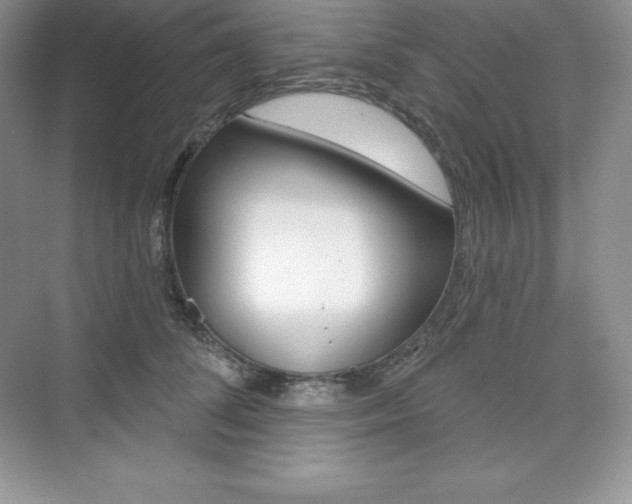 X0000073890708200608110910