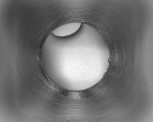 X0000073890710200608110910