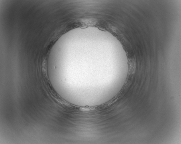 X0000073890713200608110910