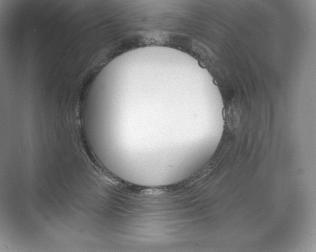 X0000073890714200608110910