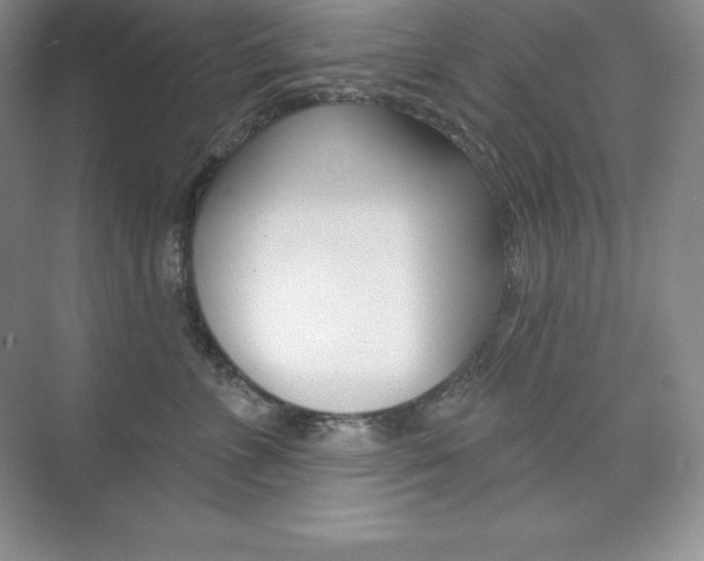 X0000073890715200608110910